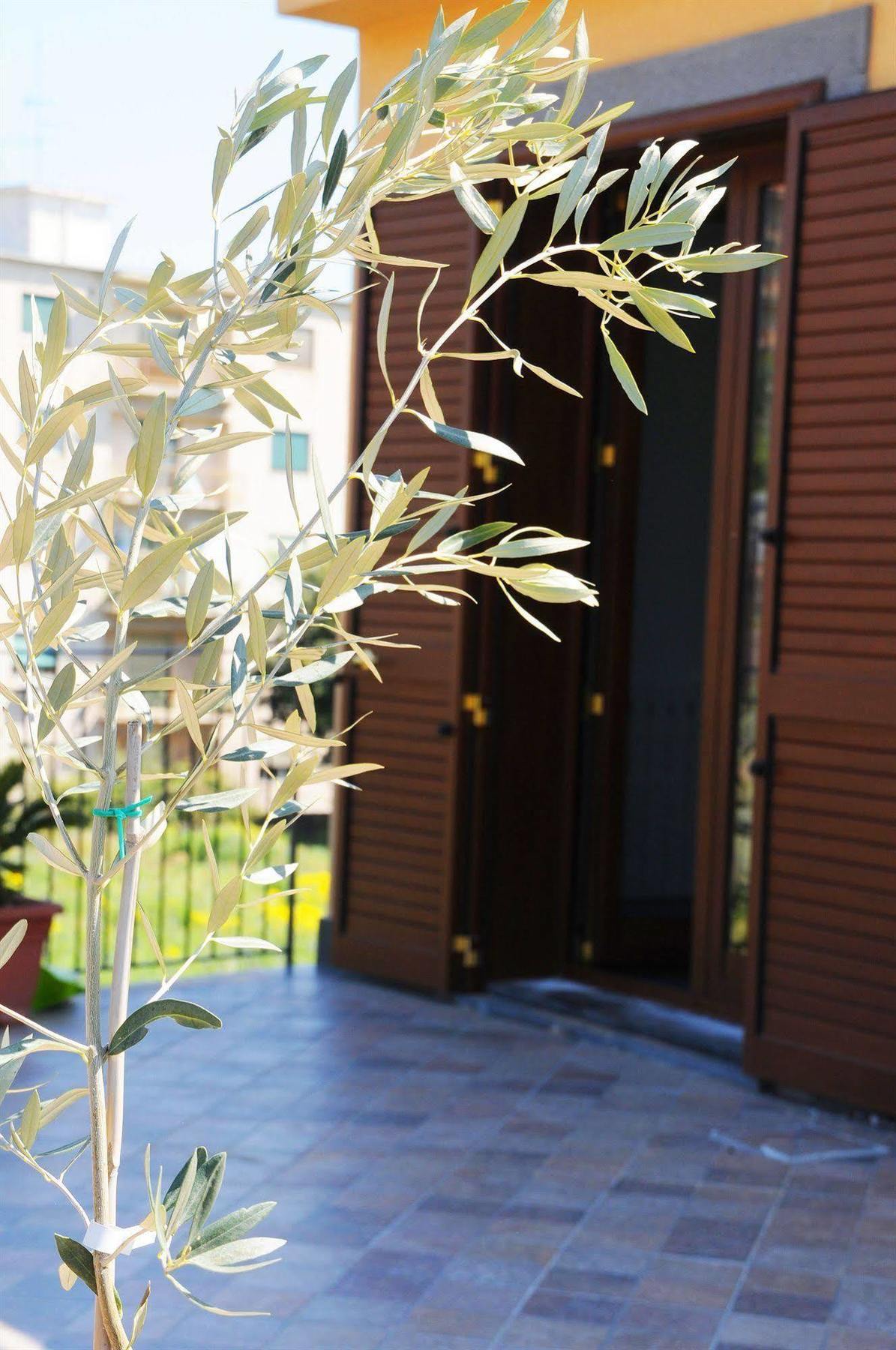 La Circumetnea Home Катания Екстериор снимка